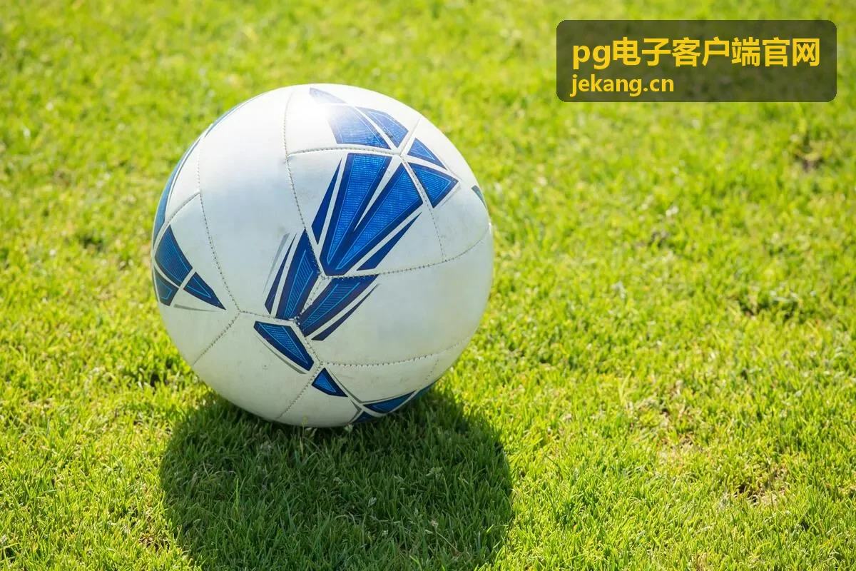 pg电子客户端官网 产品查询与使用帮助演示